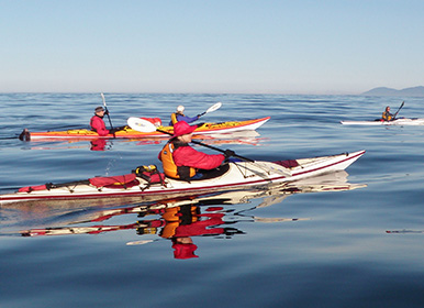 group of kayakers on the water